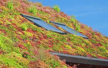 Sharneyford living roof systems