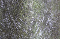 Sharneyford fibreglass roof work